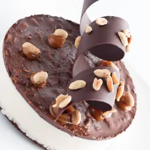 Dolcefreddo-kikiriki aroma za sladoled