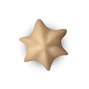 BS115 - BOCCHETTA IN ACCIAIO INOX PER SAC À POCHE FORO STELLA ø15 MM