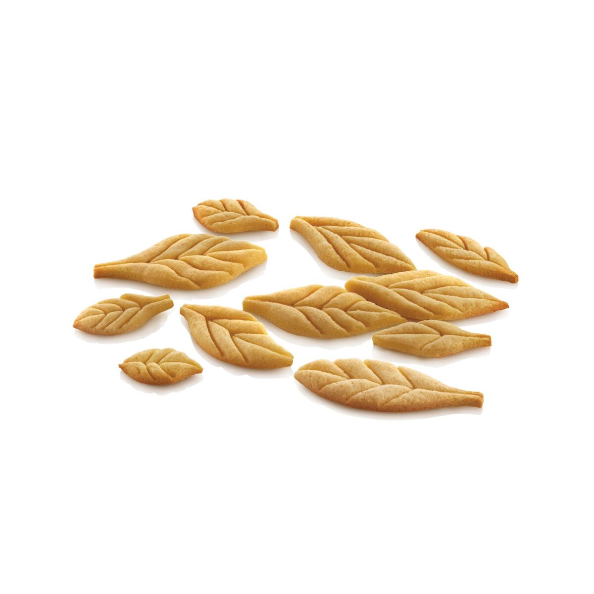 VOILÀ COOKIE – LEAVES