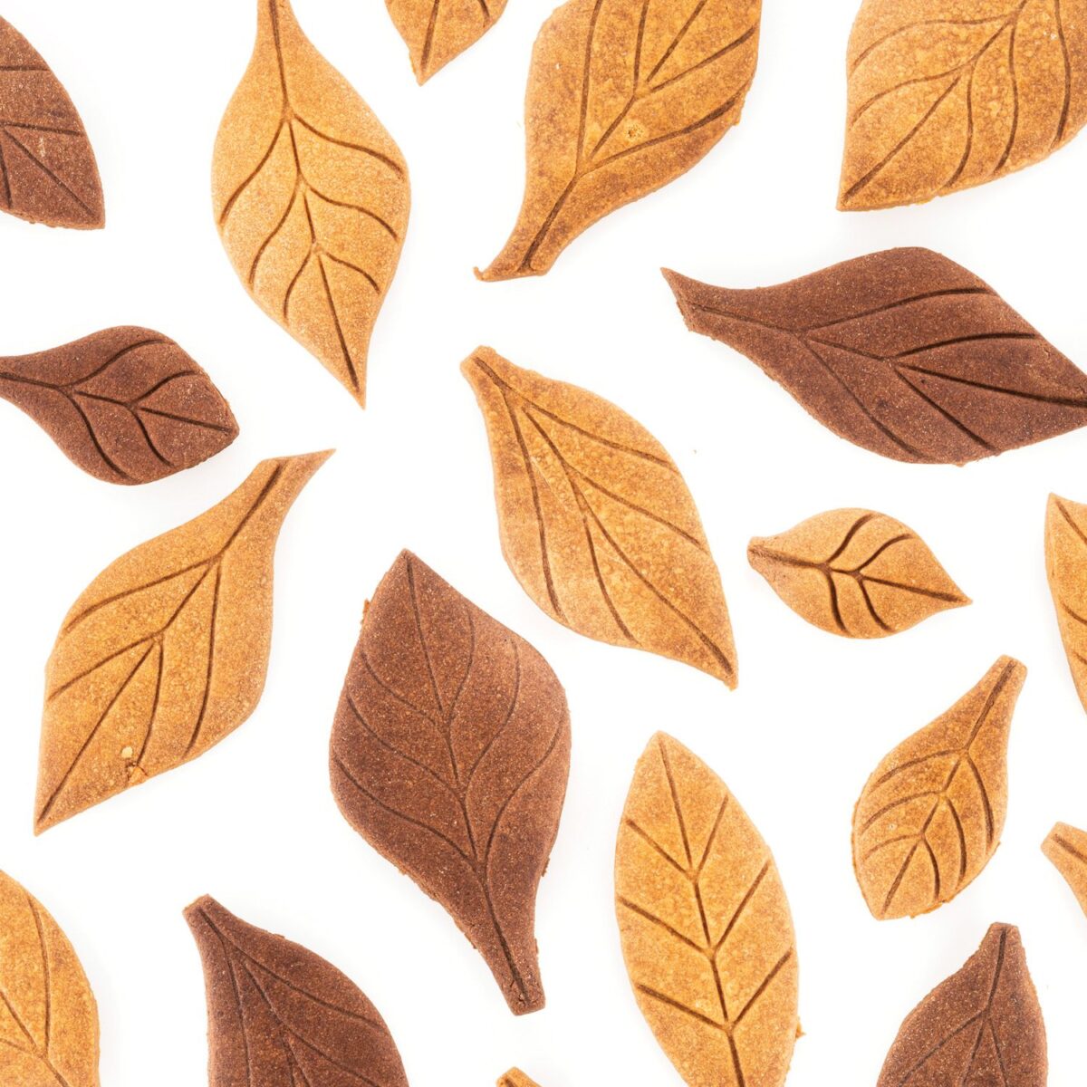 VOILÀ COOKIE – LEAVES - Slika 3