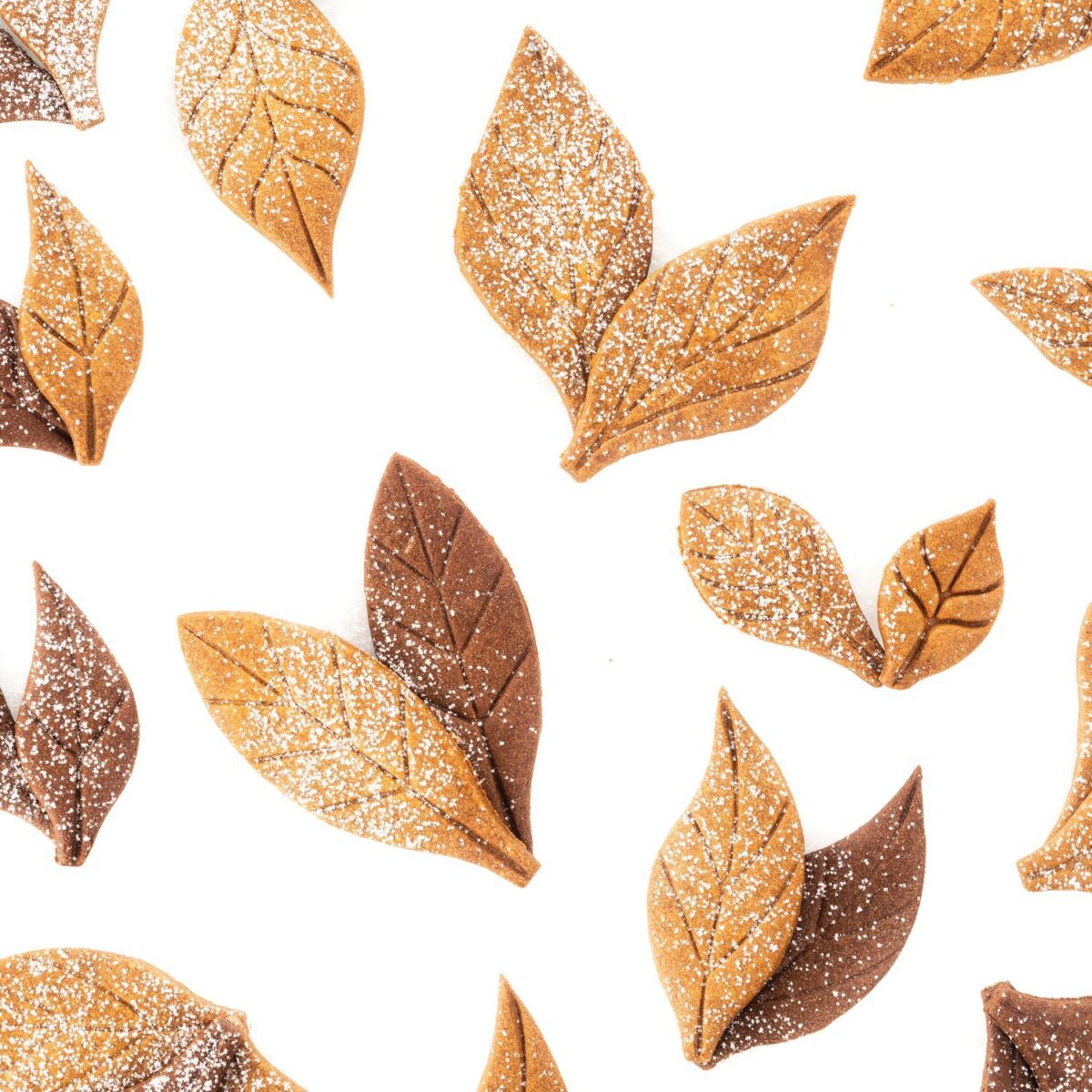 VOILÀ COOKIE – LEAVES - Slika 4