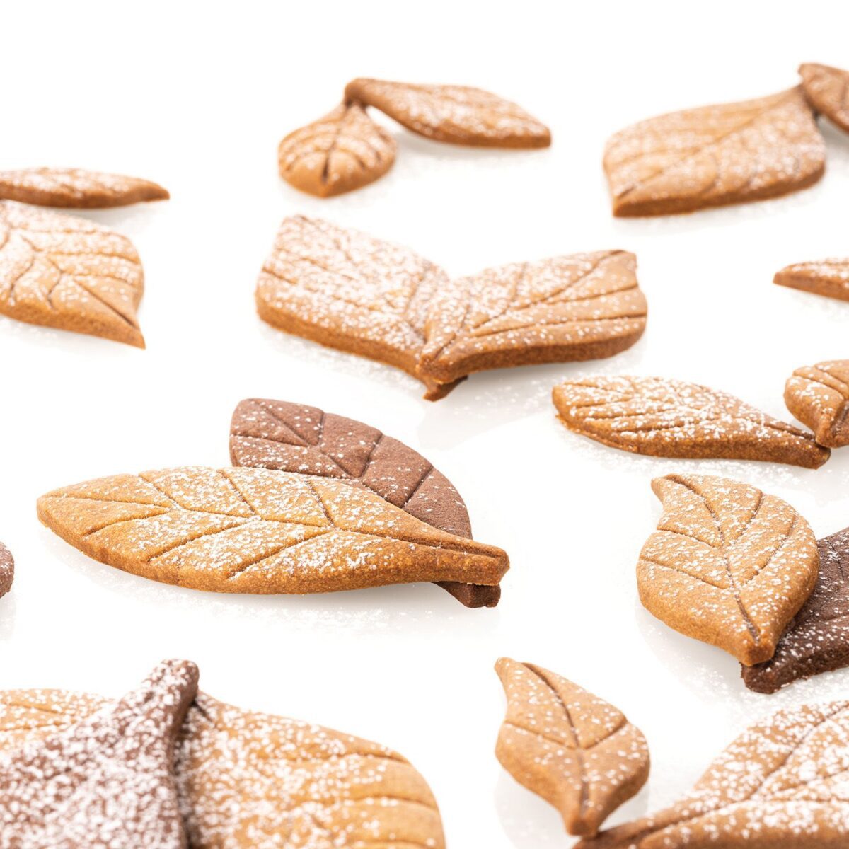VOILÀ COOKIE – LEAVES - Slika 5