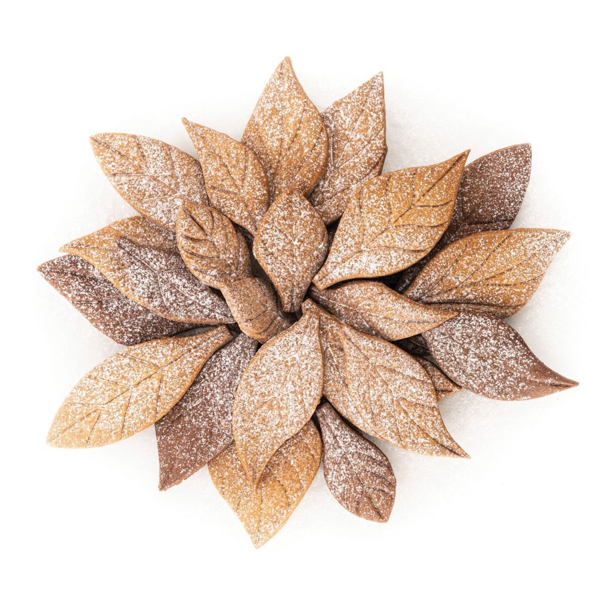 VOILÀ COOKIE – LEAVES - Slika 7