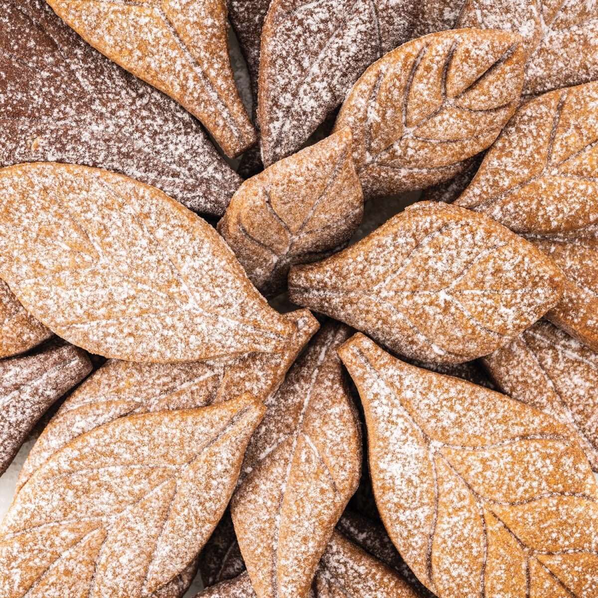 VOILÀ COOKIE – LEAVES - Slika 8